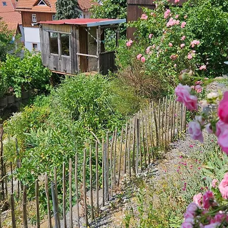 Apartment Waldheim *